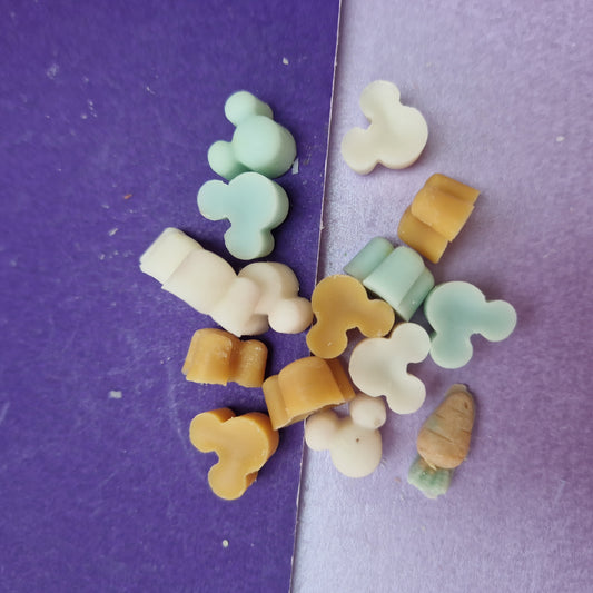 Water Has Memories mini mouse melts soy handpoured wax melt